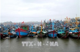 Các địa phương ven biển triển khai phòng tránh vùng áp thấp ở Bắc Biển Đông