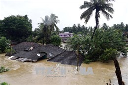  Mưa lũ nghiêm trọng tại bang Kerala, Ấn Độ làm 67 người thiệt mạng