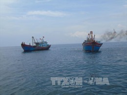 Chưa chấp thuận việc nhận chìm 2,5 triệu m3 chất nạo vét xuống biển Quảng Bình