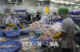 Phát tán thông tin sai lệch về cá tra Việt tại thị trường Romania
