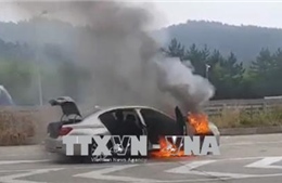 Hơn 1.200 khách hàng tại Hàn Quốc kiện BMW đòi bồi thường thiệt hại