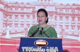 Phiên họp toàn thể 'Đối ngoại Quốc hội trong thời kỳ hội nhập quốc tế sâu rộng'