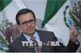 Mexico: NAFTA sẽ phải sửa đổi nếu không có Canada