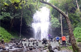 Đắk Nông chính thức chấm dứt dự án điểm du lịch sinh thái thác Lưu Ly