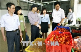 Hà Nội xử phạt hơn 14 tỷ đồng các cơ sở vi phạm an toàn thực phẩm