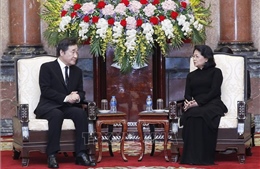 Quyền Chủ tịch nước Đặng Thị Ngọc Thịnh tiếp Thủ tướng Hàn Quốc Lee Nak-yon
