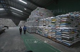Xuất khẩu gạo sẽ tiếp tục tăng trong những tháng cuối năm