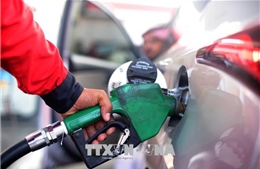 Giá nhiên liệu ở Ấn Độ tiếp tục tăng cao