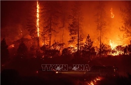 Italy sơ tán hàng trăm người do cháy rừng