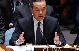 Trung Quốc khẳng định sẽ không áp đặt rào cản thị trường với các nước