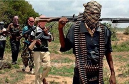 Boko Haram chiếm giữ thị trấn ở Đông Bắc Nigeria