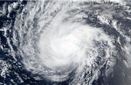 Nhiều bang của Mỹ ban bố tình trạng khẩn cấp do siêu bão Florence