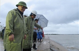 Ninh Thuận theo dõi chặt chẽ diễn biến của bão, chủ động các phương án phòng chống