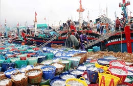 Phát triển ngành thủy sản Việt Nam theo xu hướng tiêu dùng của thế giới