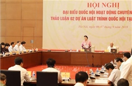 Khai mạc Hội nghị đại biểu Quốc hội hoạt động chuyên trách 