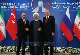 Hội nghị thượng đỉnh về Syria: Tuyên bố chung nhấn mạnh giải pháp chính trị 