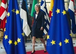 Sẽ tạm hoãn kế hoạch chuẩn bị hội nghị thượng đỉnh đặc biệt về Brexit vào tháng 11 tới?