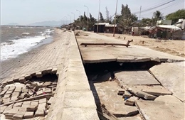 Sụt lún nghiêm trọng đê kè chắn sóng, đe doạ hơn 300 hộ dân ở Ninh Thuận