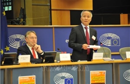 Điều trần tại Nghị viện châu Âu về Hiệp định tự do thương mại Việt Nam-EU    