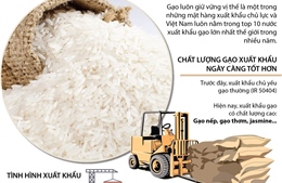 Xuất khẩu gạo Việt Nam đã chuyển từ lượng sang chất