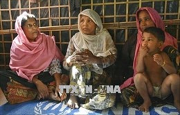 Bangladesh và Myanmar nhất trí hồi hương người Rohingya