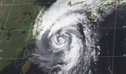 Hàng trăm chuyến bay tại Hàn Quốc phải hủy do bão Kong-rey