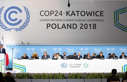 Hội nghị COP 24: Các nước quyết tâm đạt đồng thuận
