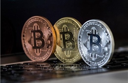Đồng bitcoin trượt giá xuống mức thấp nhất kể từ đầu năm