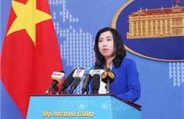 Quyết tâm thúc đẩy, sớm ký kết Hiệp định Thương mại tự do Việt Nam - EU