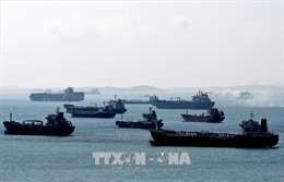 Mỹ cảnh báo các nước không được cho tàu chở dầu Iran đi vào lãnh hải