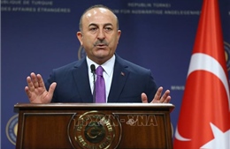 Thổ Nhĩ Kỳ đề nghị Mỹ dẫn độ 84 nhân vật ủng hộ giáo sĩ Gulen
