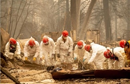 Thêm nhiều người chết và mất tích trong thảm họa cháy rừng ở Mỹ