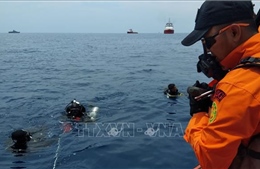 Rơi máy bay tại Indonesia: Sẽ công bố nguyên nhân vụ tai nạn ngày 28/11