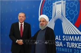 Thổ Nhĩ Kỳ, Iran khẳng định hợp tác chặt chẽ trong vấn đề Syria