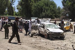 Đánh bom liều chết vào cơ quan tình báo Afghanistan, ít nhất 10 người thương vong