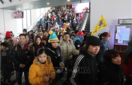 Lượng du khách đón năm mới tại Sa Pa, Lào Cai tăng cao bất chấp mưa rét