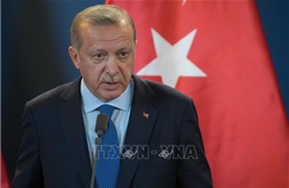 Thổ Nhĩ Kỳ sẽ tiến hành chiến dịch quân sự ở miền Bắc Syria vài ngày tới