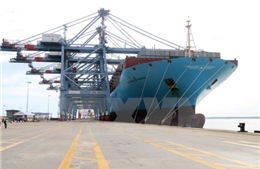  Vinalines: Khối vận tải biển giảm lỗ đến 70%