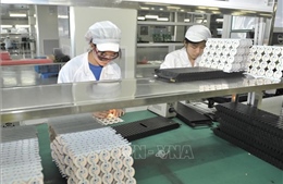 Hoạt động chế tạo của Trung Quốc suy giảm lần đầu tiên kể từ năm 2016