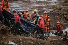 Vụ vỡ đập tại Brazil: Số nạn nhân thiệt mạng tăng lên 84 người