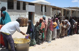 Tân Tổng Giám đốc FAO thúc đẩy mục tiêu &#39;Không còn nạn đói&#39;