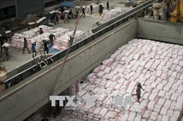 Xuất khẩu gạo của Thái Lan gặp khó khăn do đồng bath mạnh lên