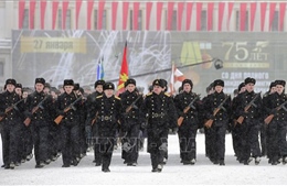 Nga diễu binh kỷ niệm 75 năm giải phóng Leningrad