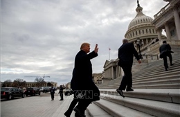 Tổng thống Trump hạn chế nghị sĩ Mỹ đi máy bay do chính phủ quản lý