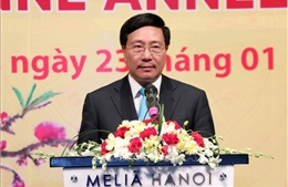 Gặp mặt Đoàn Ngoại giao nhân dịp Tết Kỷ Hợi 2019