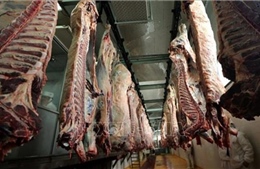 Hàng trăm kg thịt bò &#39;bẩn&#39; từ Ba Lan được đưa vào Pháp