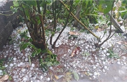 Mưa đá kèm gió mạnh cấp 7 làm tốc mái nhiều nhà dân ở Lào Cai