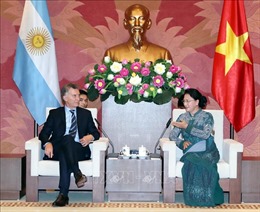 Củng cố, tăng cường quan hệ đối tác mang tầm chiến lược Việt Nam - Argentina