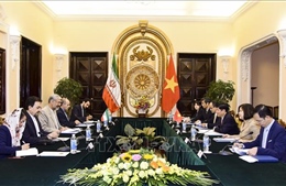 Thúc đẩy quan hệ hợp tác Việt Nam - Iran