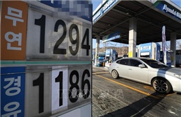 Hàn Quốc đứng thứ hai thế giới về nhập khẩu dầu thô Mỹ 